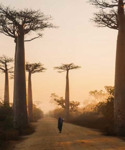 voyage à Madagascar