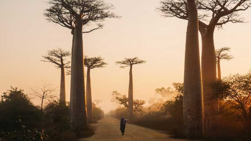 voyage à Madagascar