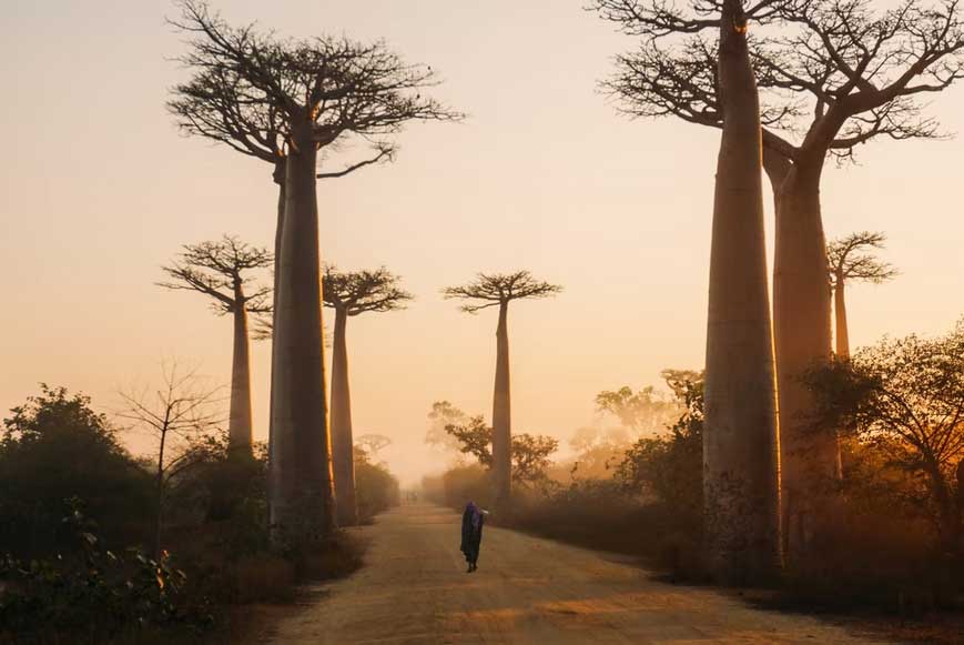 voyage à Madagascar