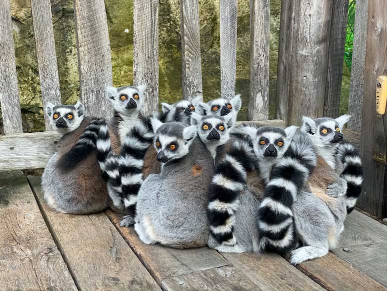 voyage à Madagascar