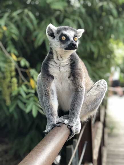 voyage à Madagascar