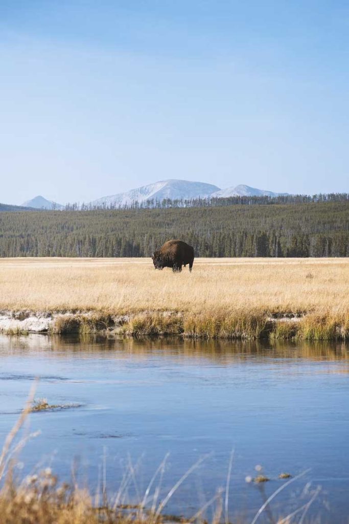 Parc national du Yellowstone