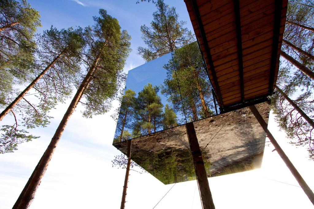 Tree Hotel