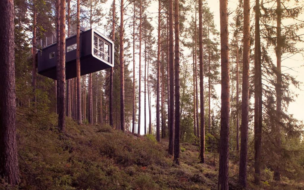 Tree Hotel