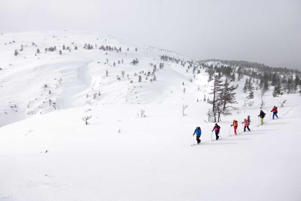 Randonnée à ski