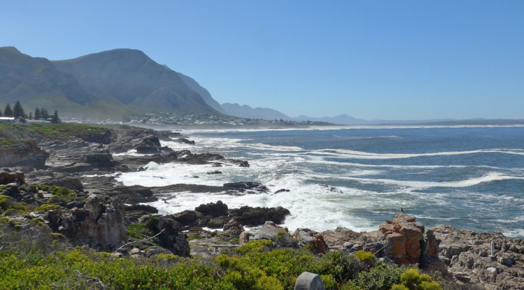 Hermanus