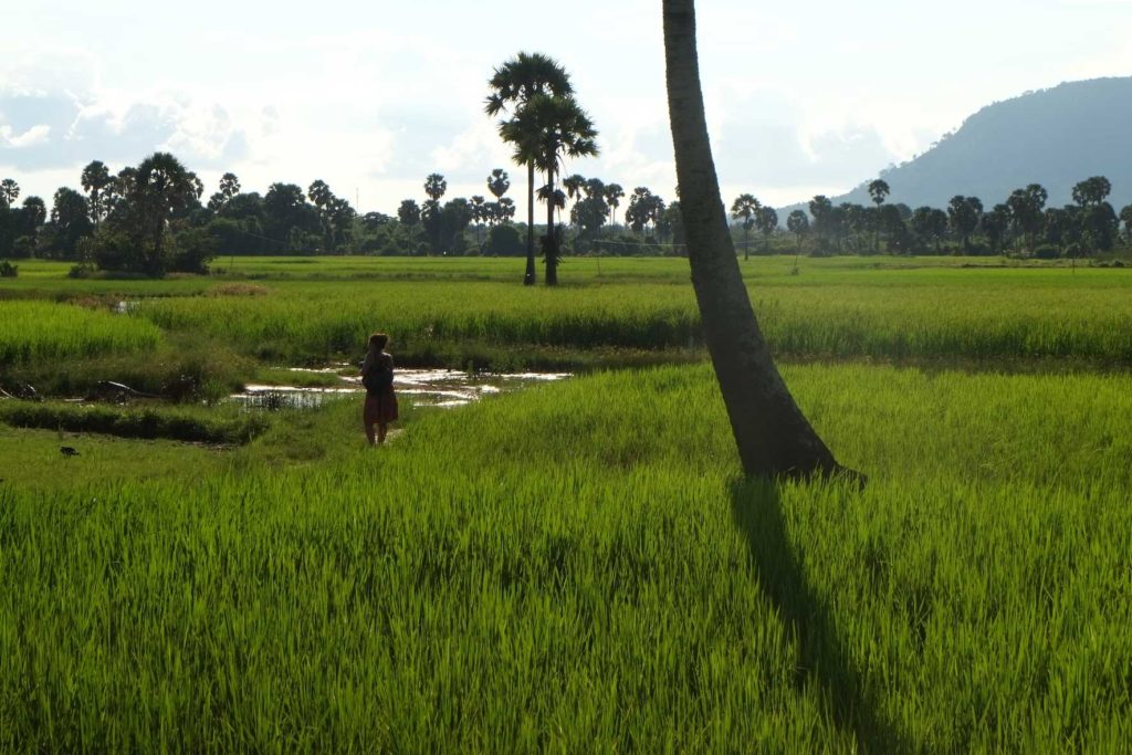 Kampot