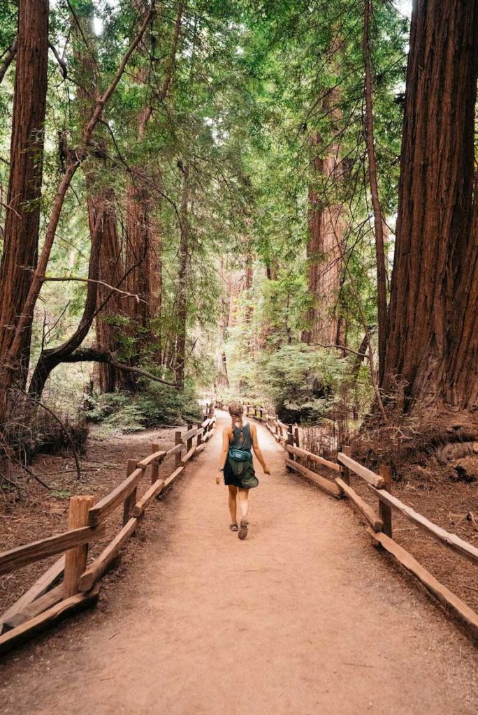 Muir Woods