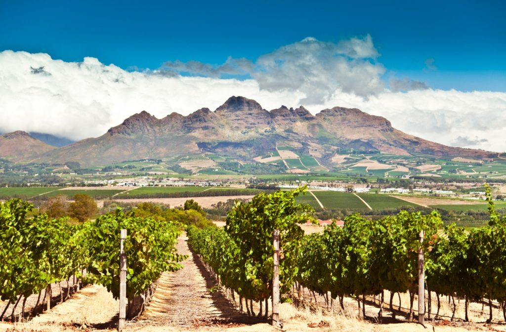 Stellenbosch