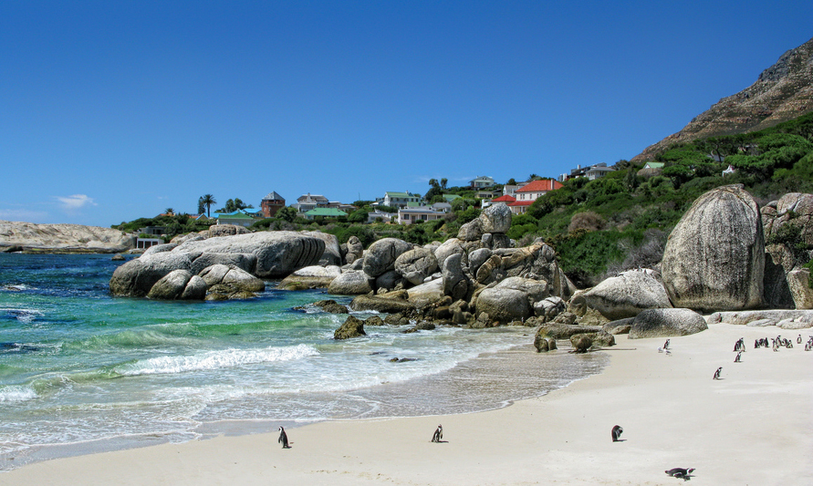 Boulders Beach - Le Cap