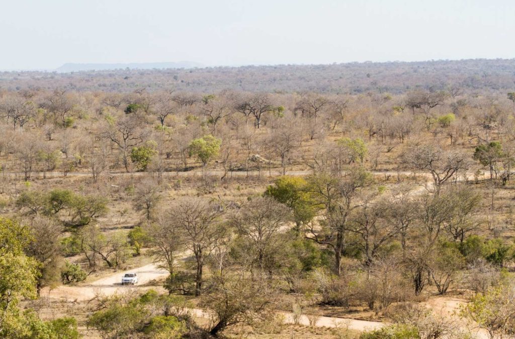 voyage au parc national Kruger