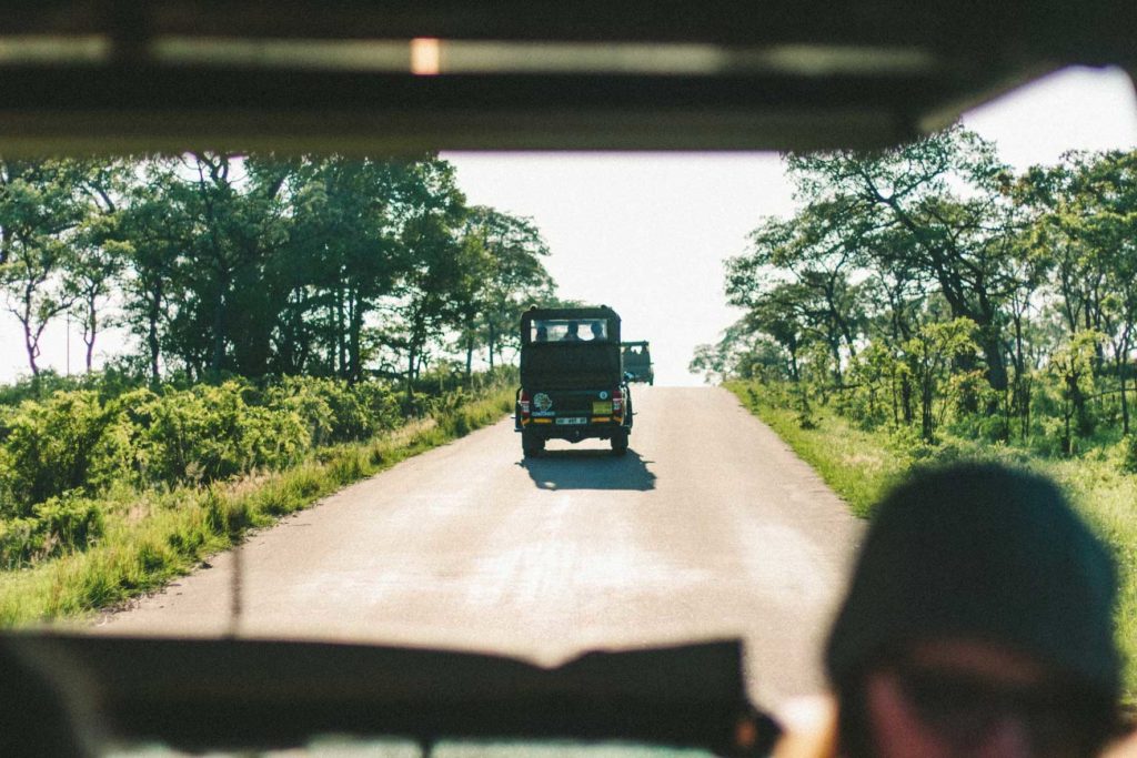 voyage au parc national Kruger