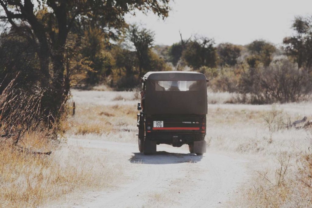 voyage au parc national Kruger