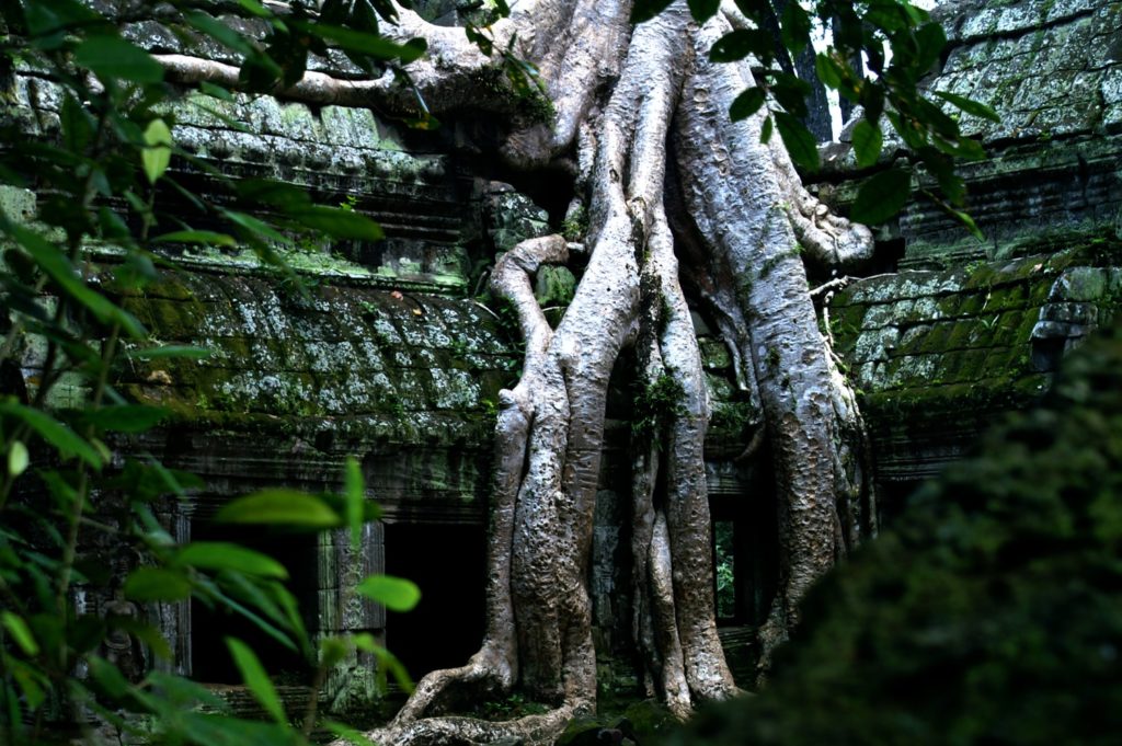 Ta Prohm