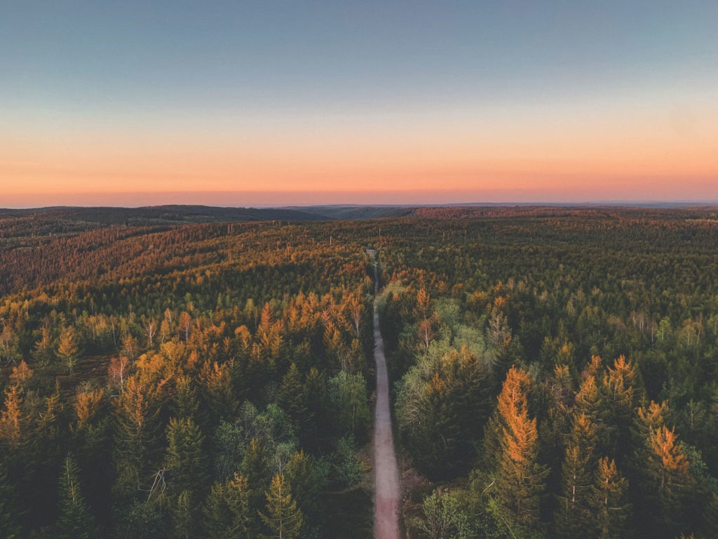 La Forêt Noire